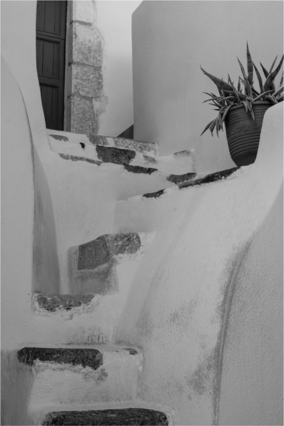 Black and white photograph of winding Cycladic steps and a potted plant in Emborio, Santorini